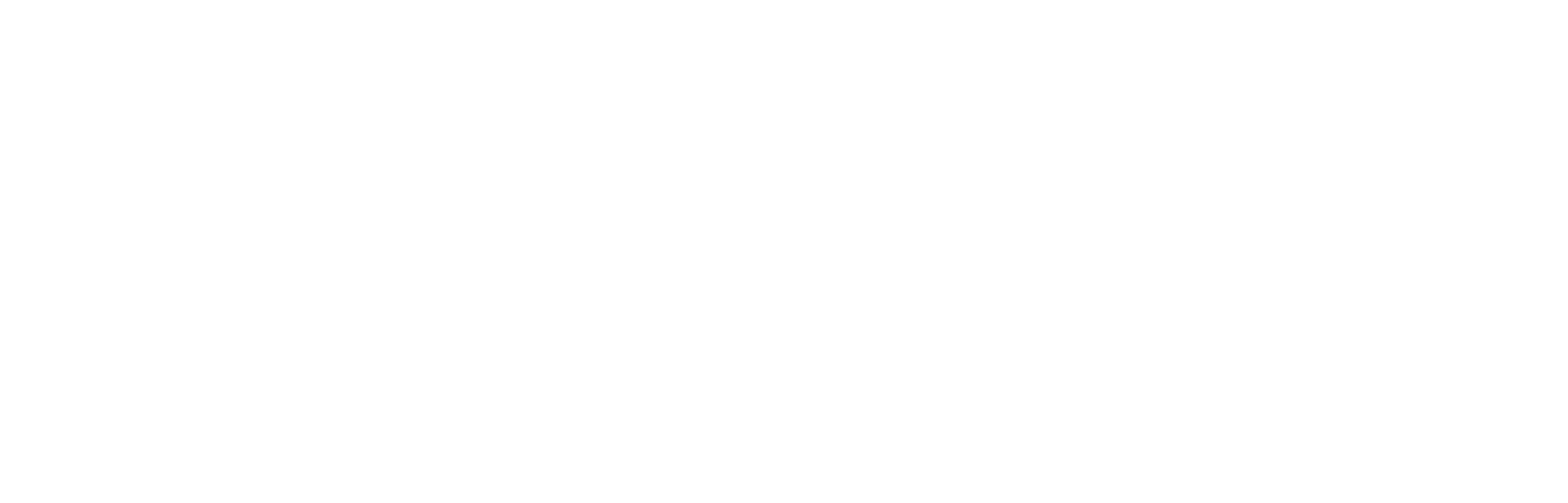 Detetive Sombra