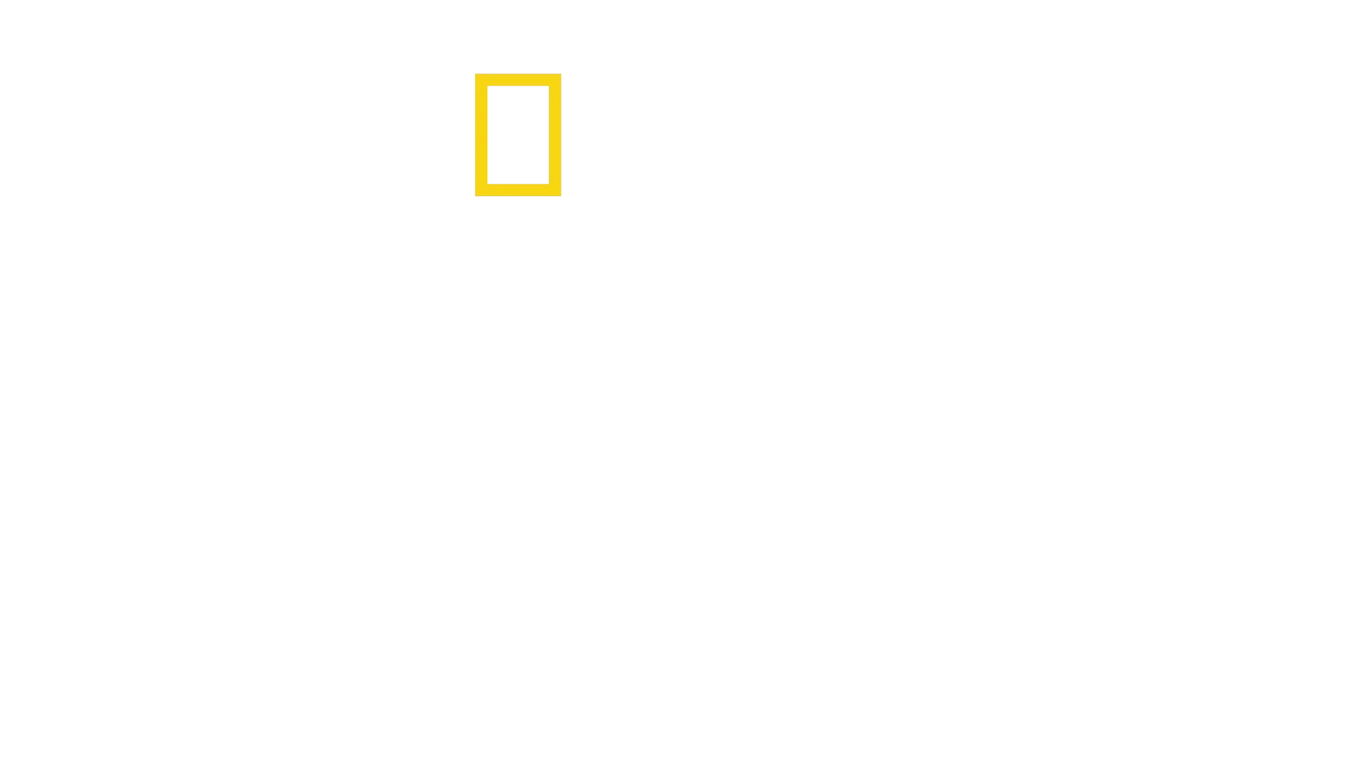 안소니 마키: 샤크비치 걸프 코스트