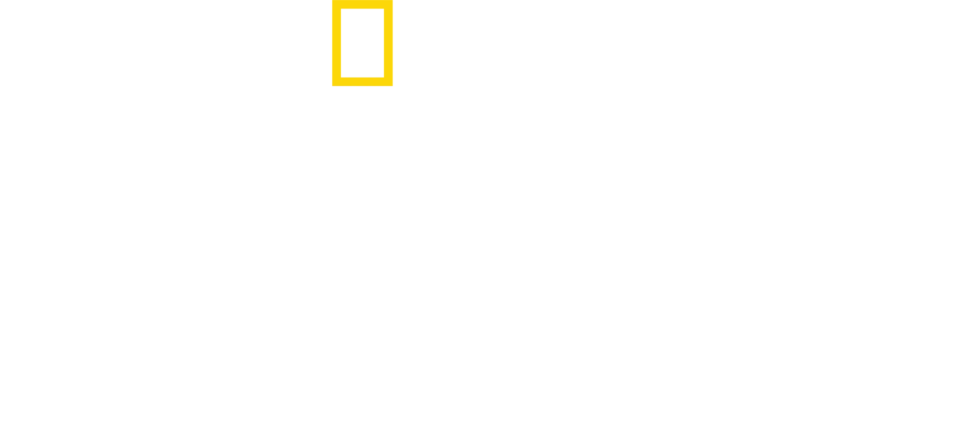 안소니 마키: 샤크비치 걸프 코스트