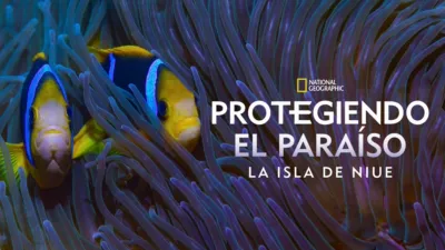 thumbnail - Protegiendo el Paraíso: La Isla de Niue