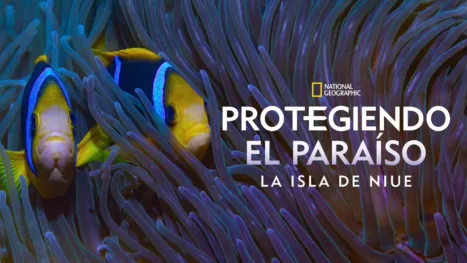 thumbnail - Protegiendo el Paraíso: La Isla de Niue