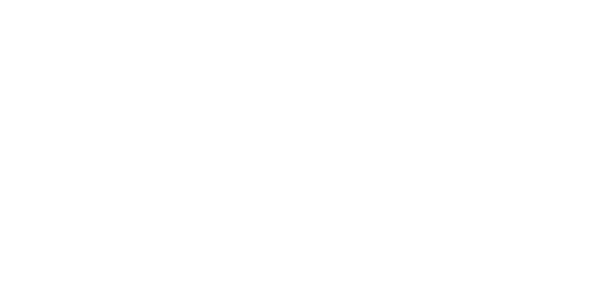 El vuelo del Fénix