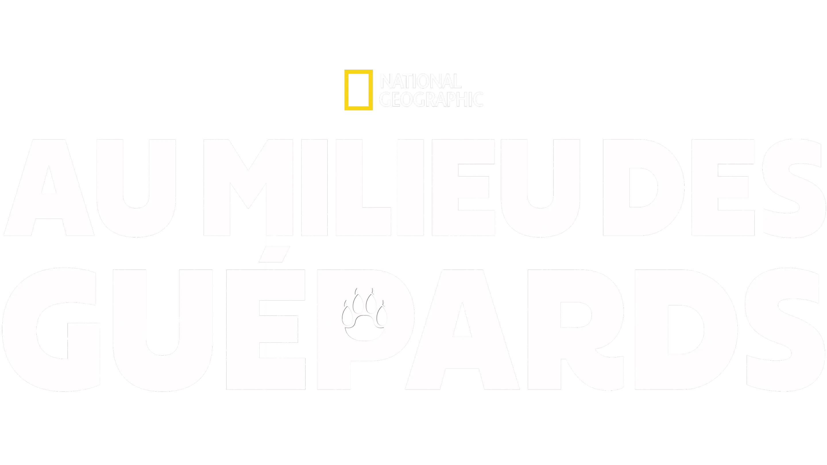 Au milieu des guépards