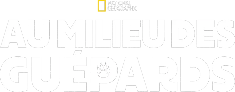 Au milieu des guépards