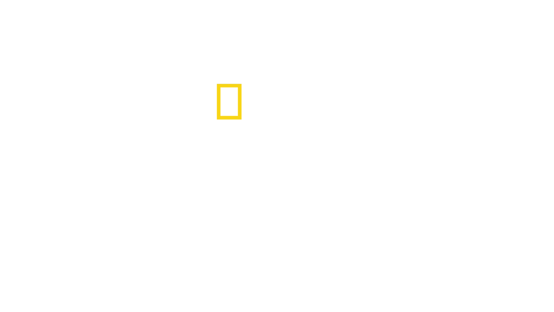 Fotoark