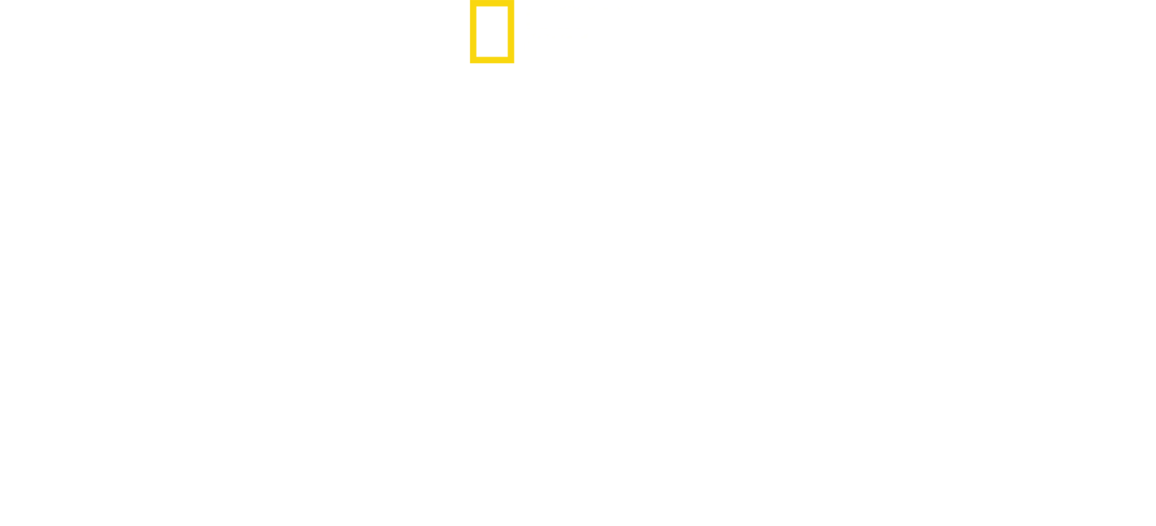 Bobi Wine : pour la démocratie