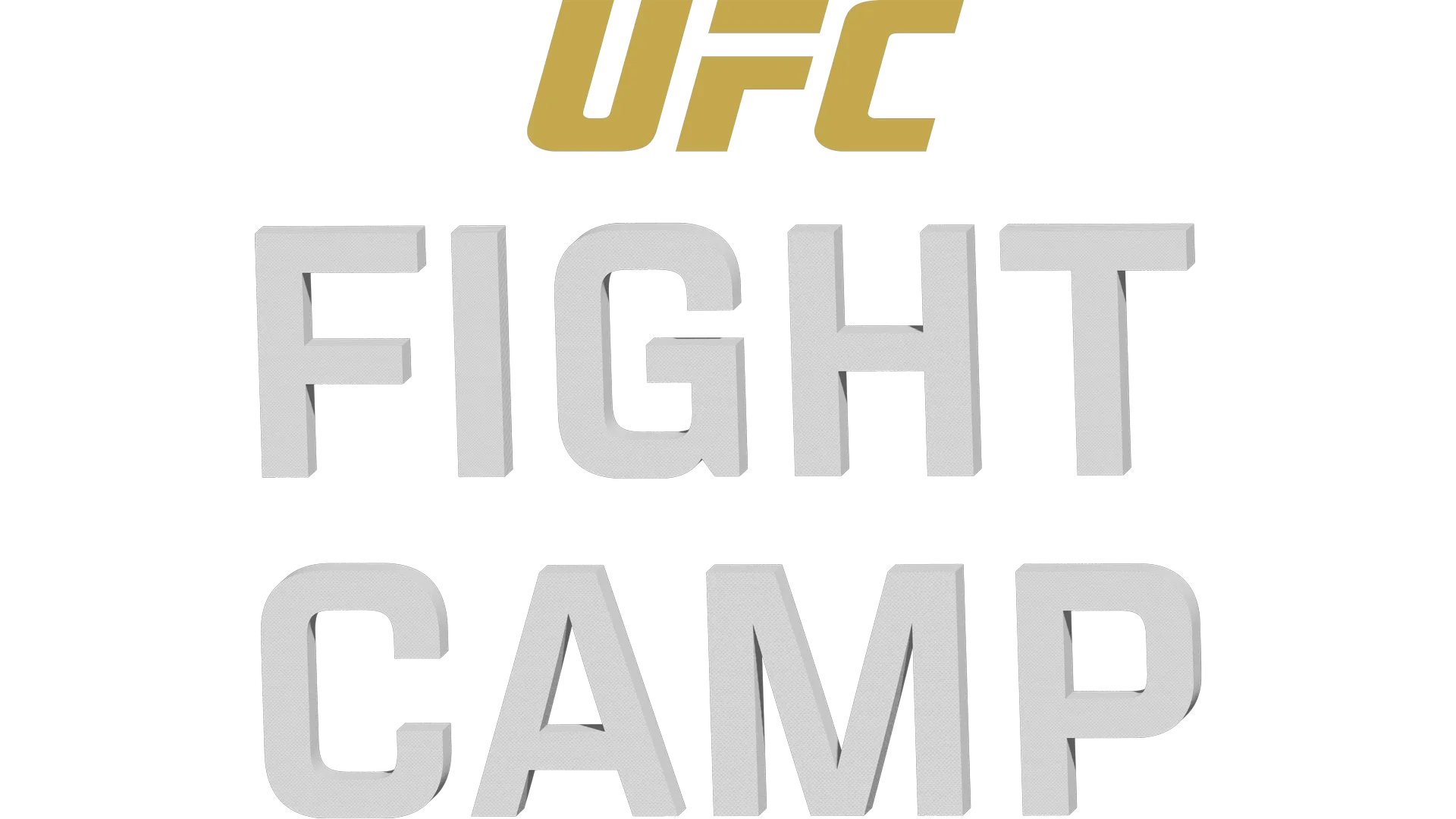 UFC Fight Camp