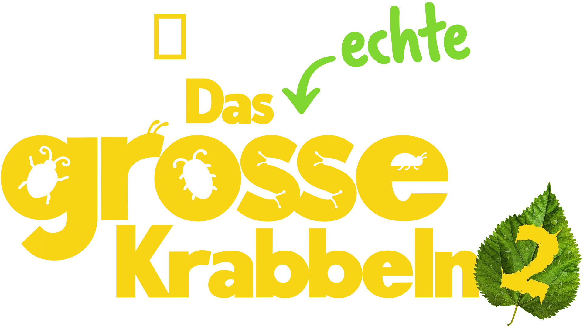 Das echte große Krabbeln