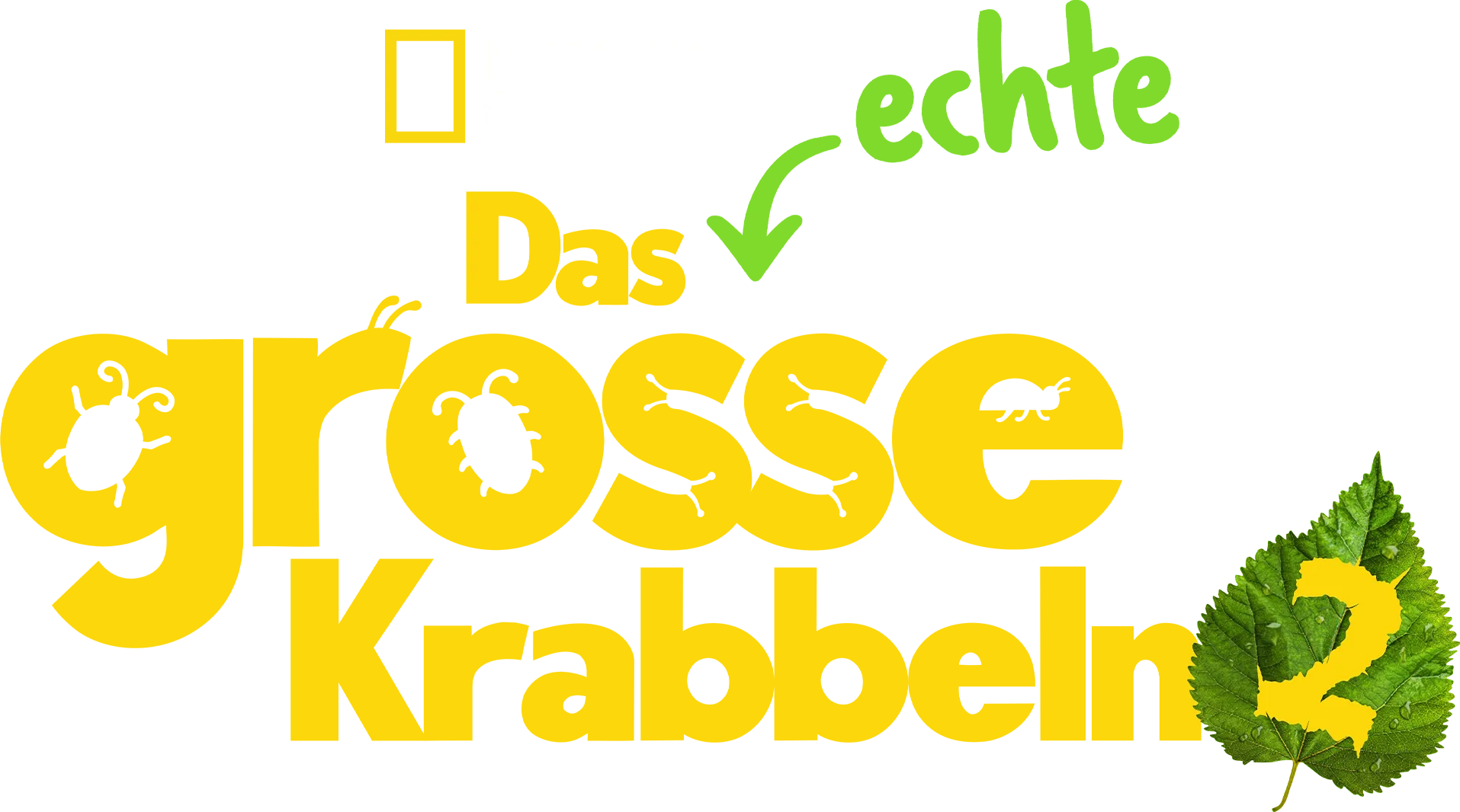 Das echte große Krabbeln