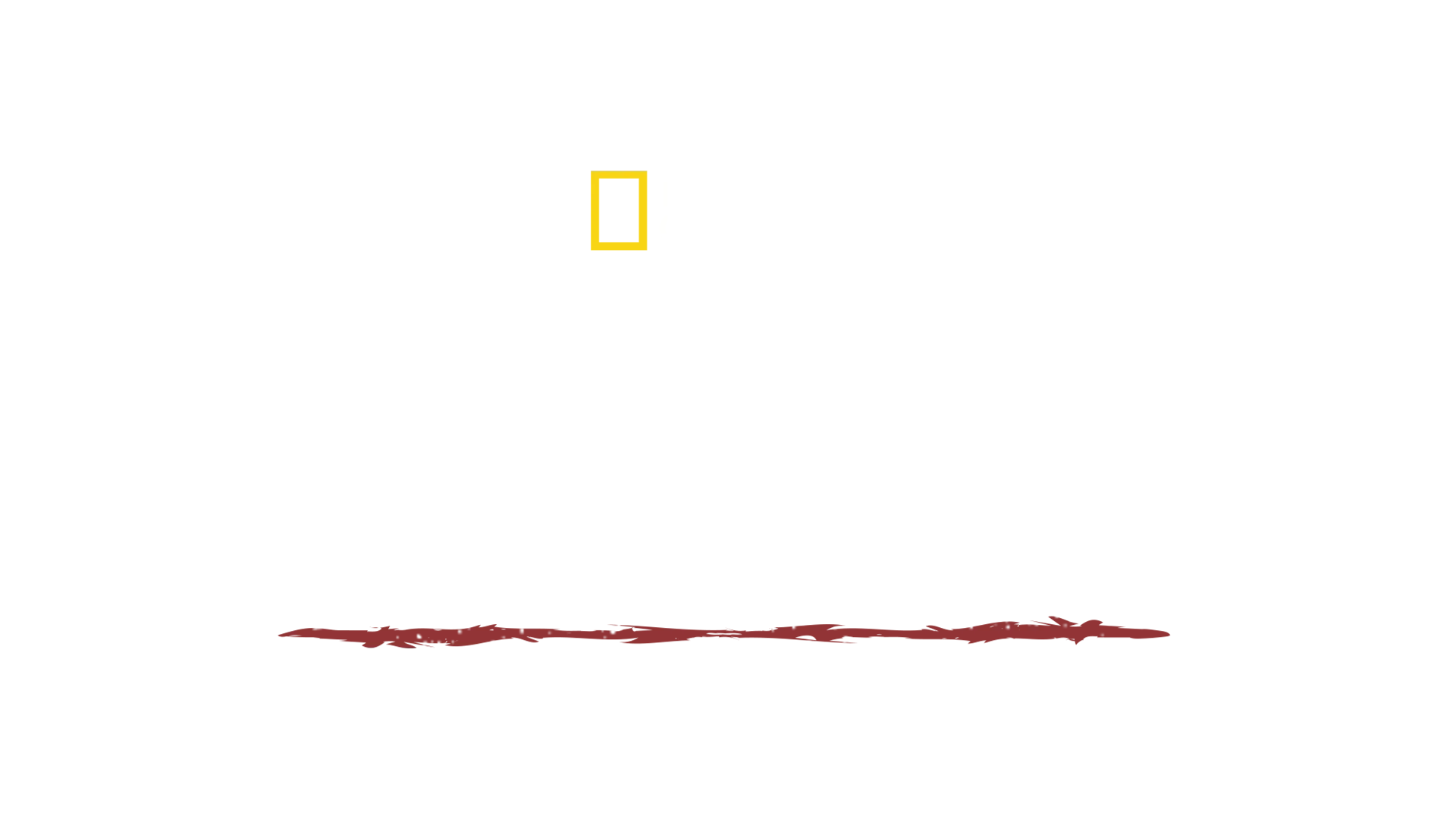 Sopravvivenza estrema