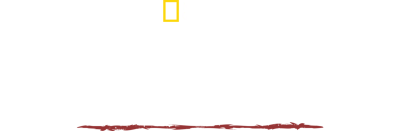 Sopravvivenza estrema