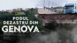 thumbnail - Podul dezastru din Genova