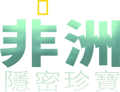 非洲隱密珍寶