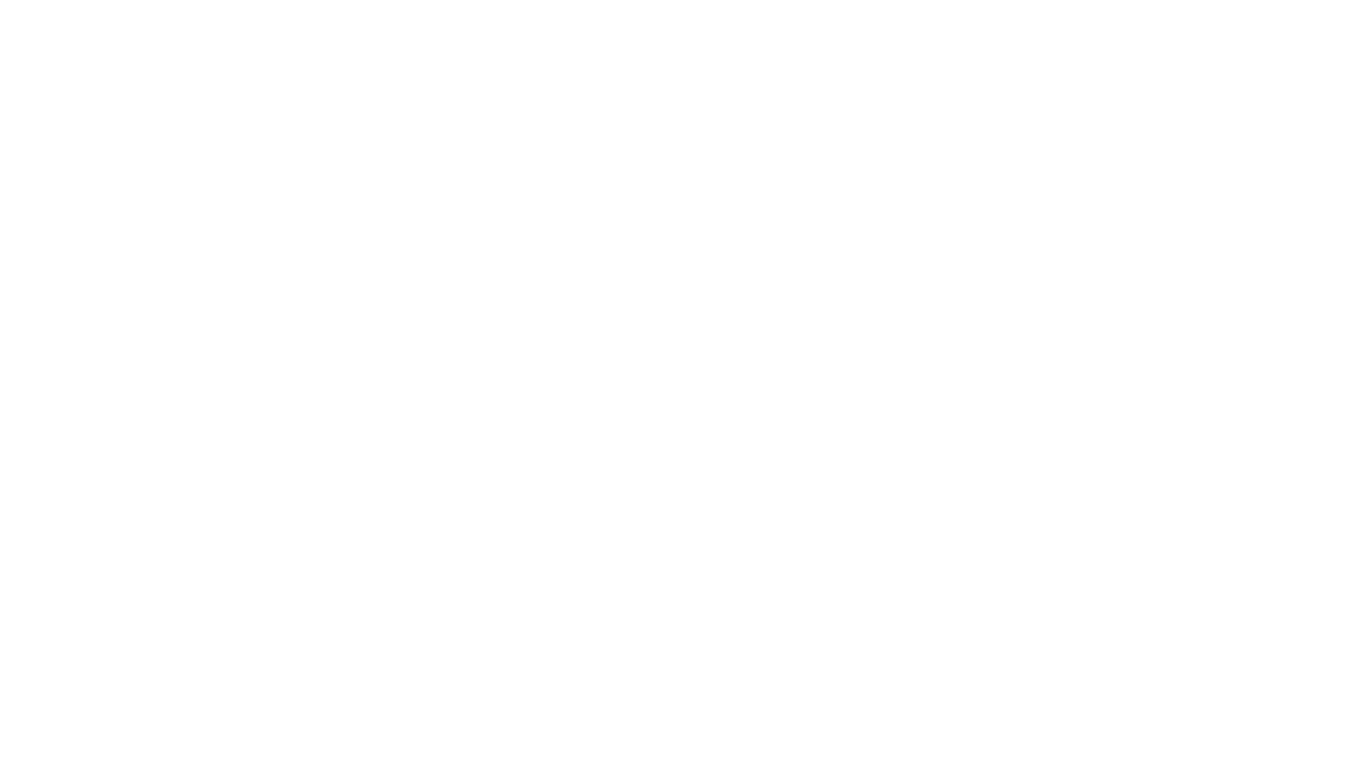 Animales norteamericanos