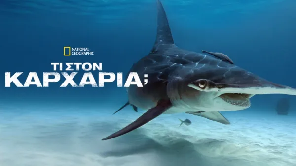 thumbnail - Μα τον Καρχαρία!