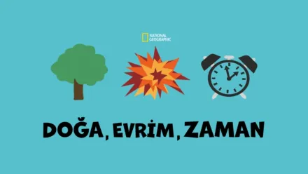 thumbnail - Doğa, Evrim, Zaman