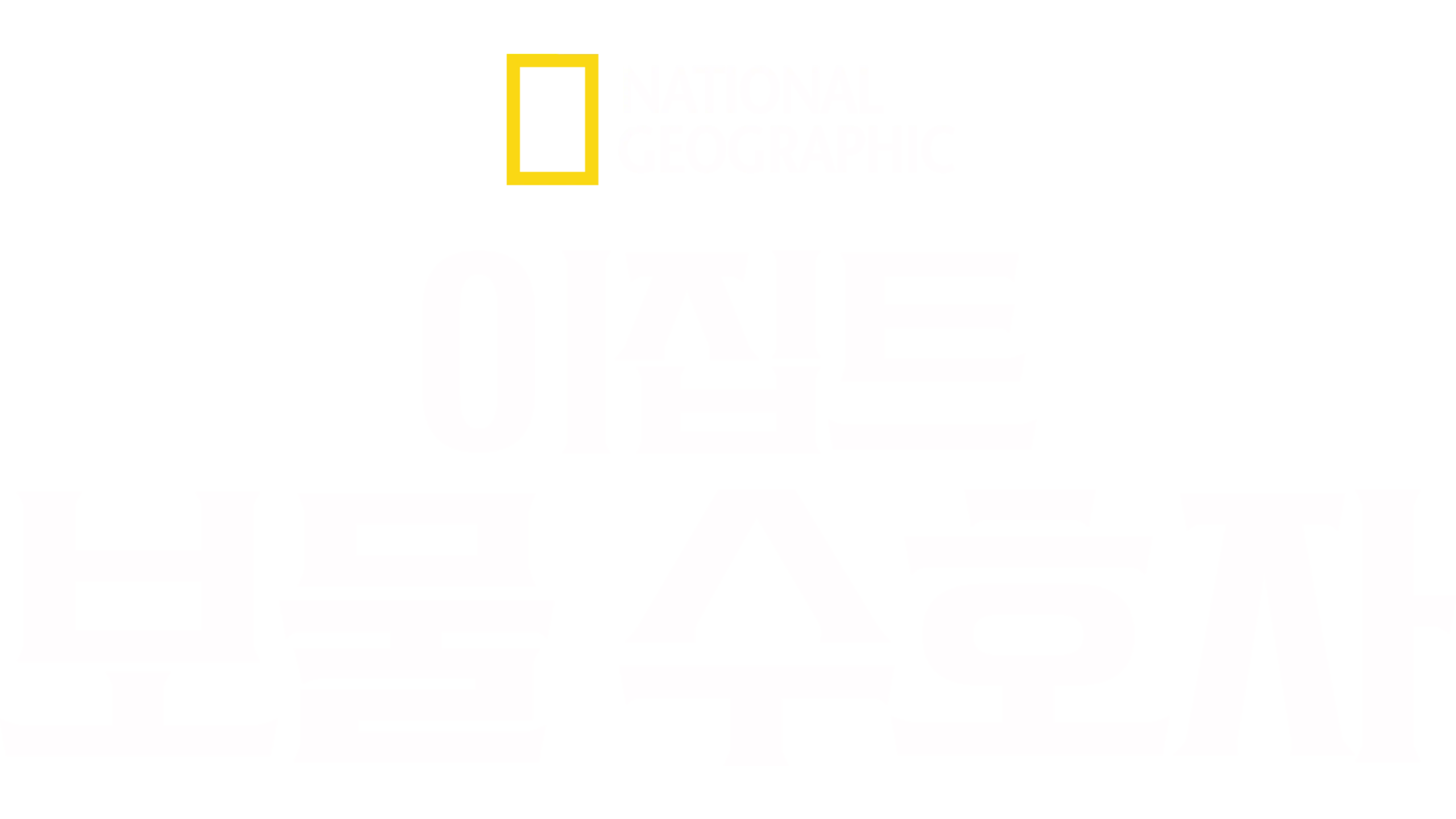 이집트 보물 수호자