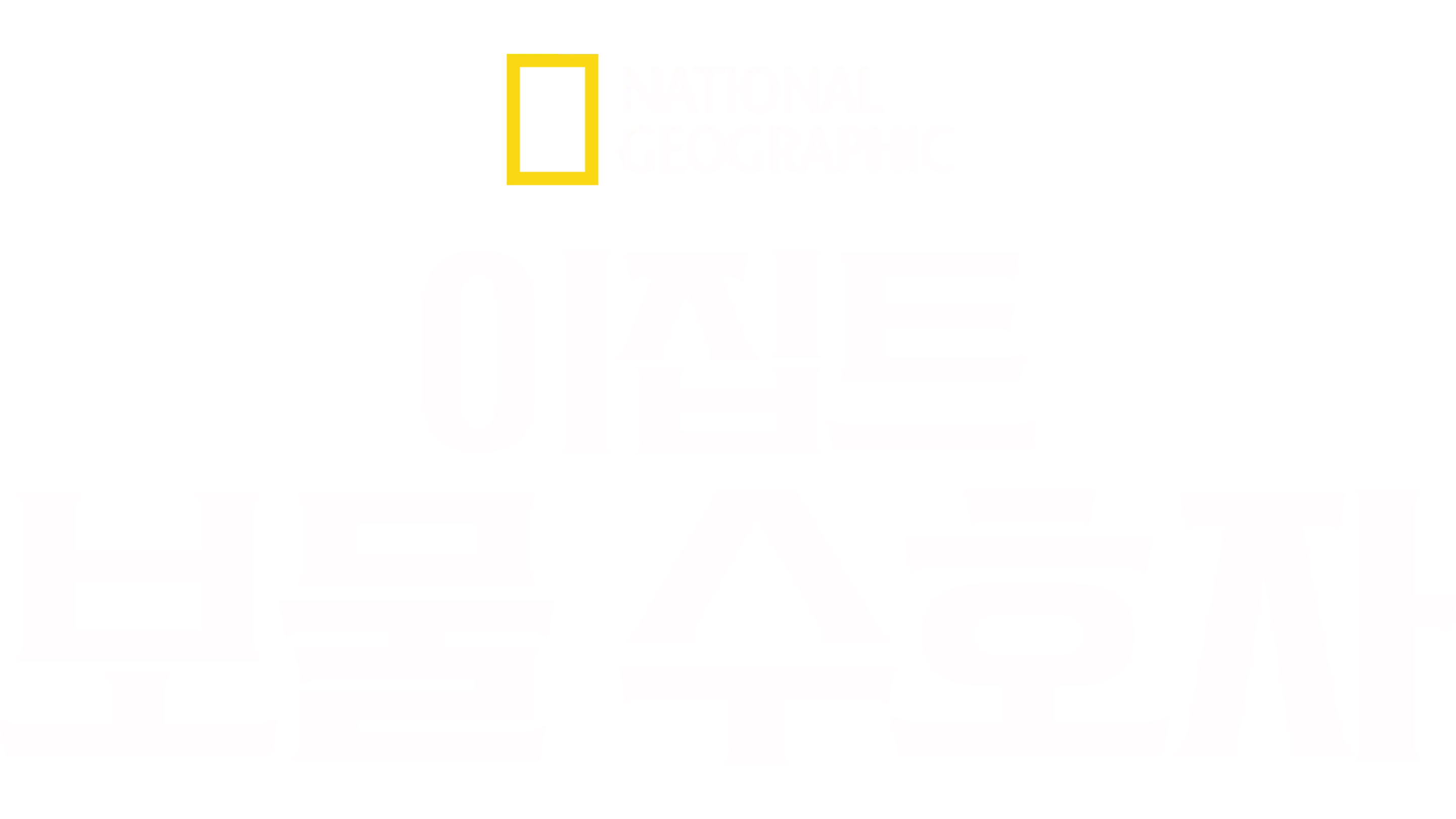 이집트 보물 수호자