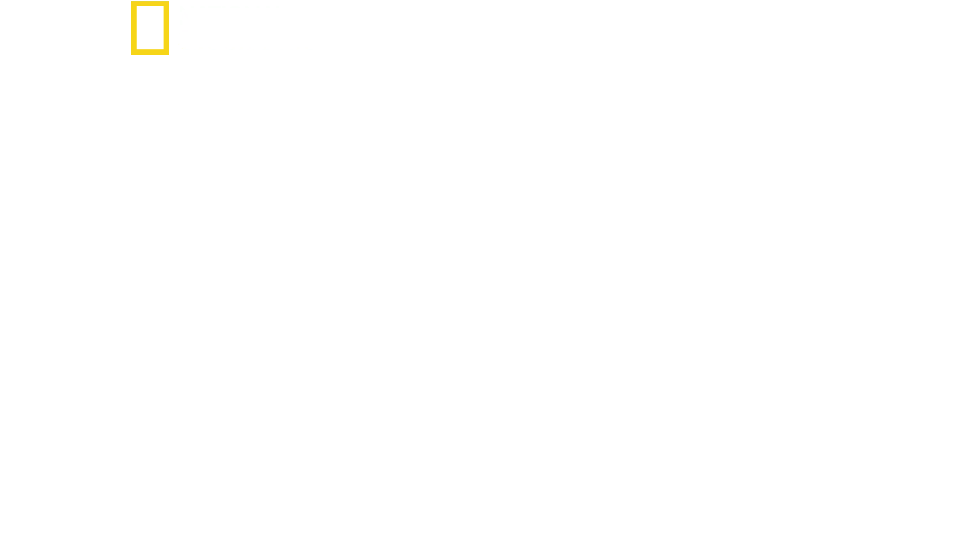 Pelätyt SS-joukot