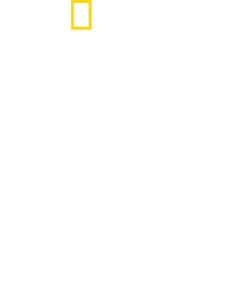 Pelätyt SS-joukot