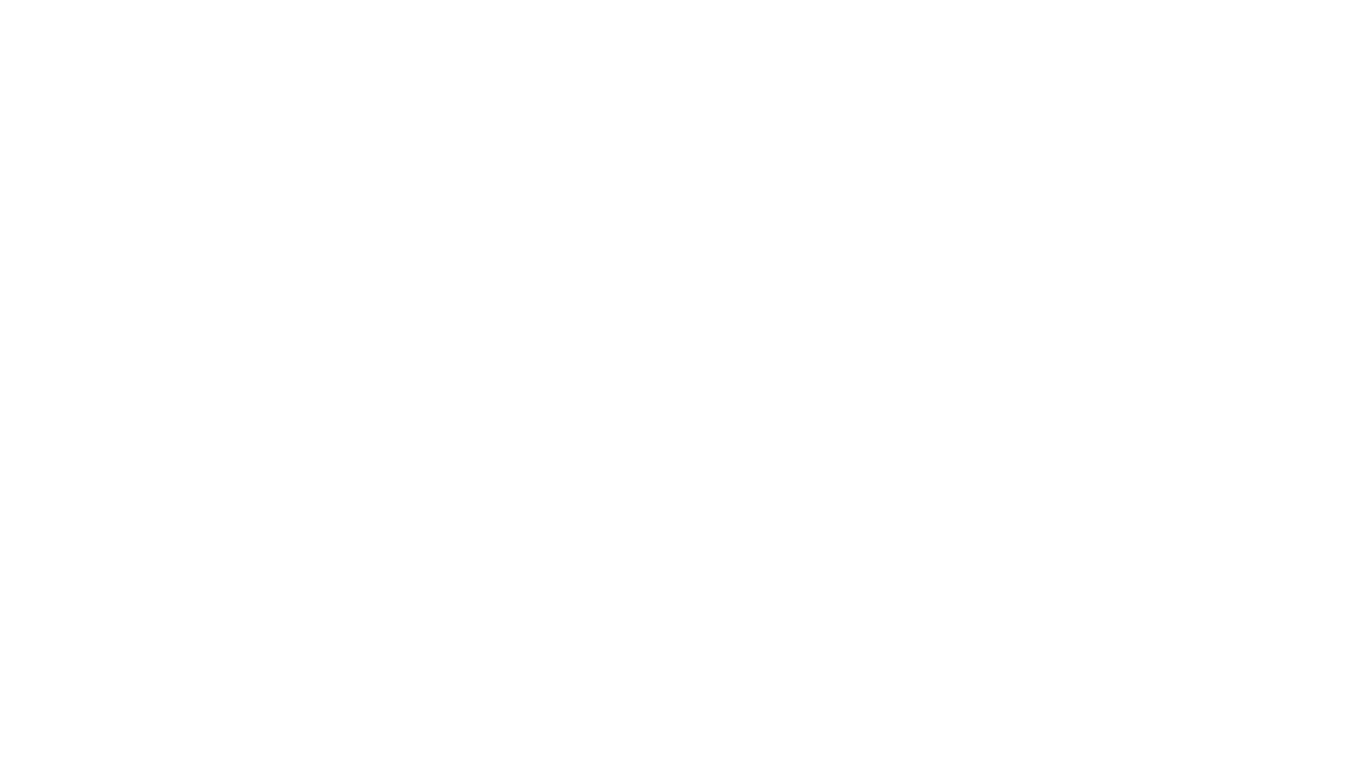 Os Estagiários