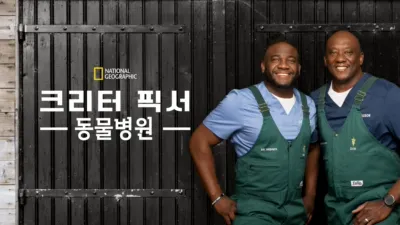 크리터 픽서 동물병원