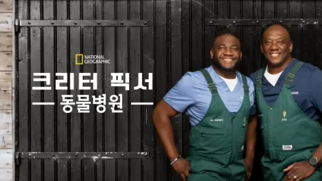 thumbnail - 크리터 픽서 동물병원