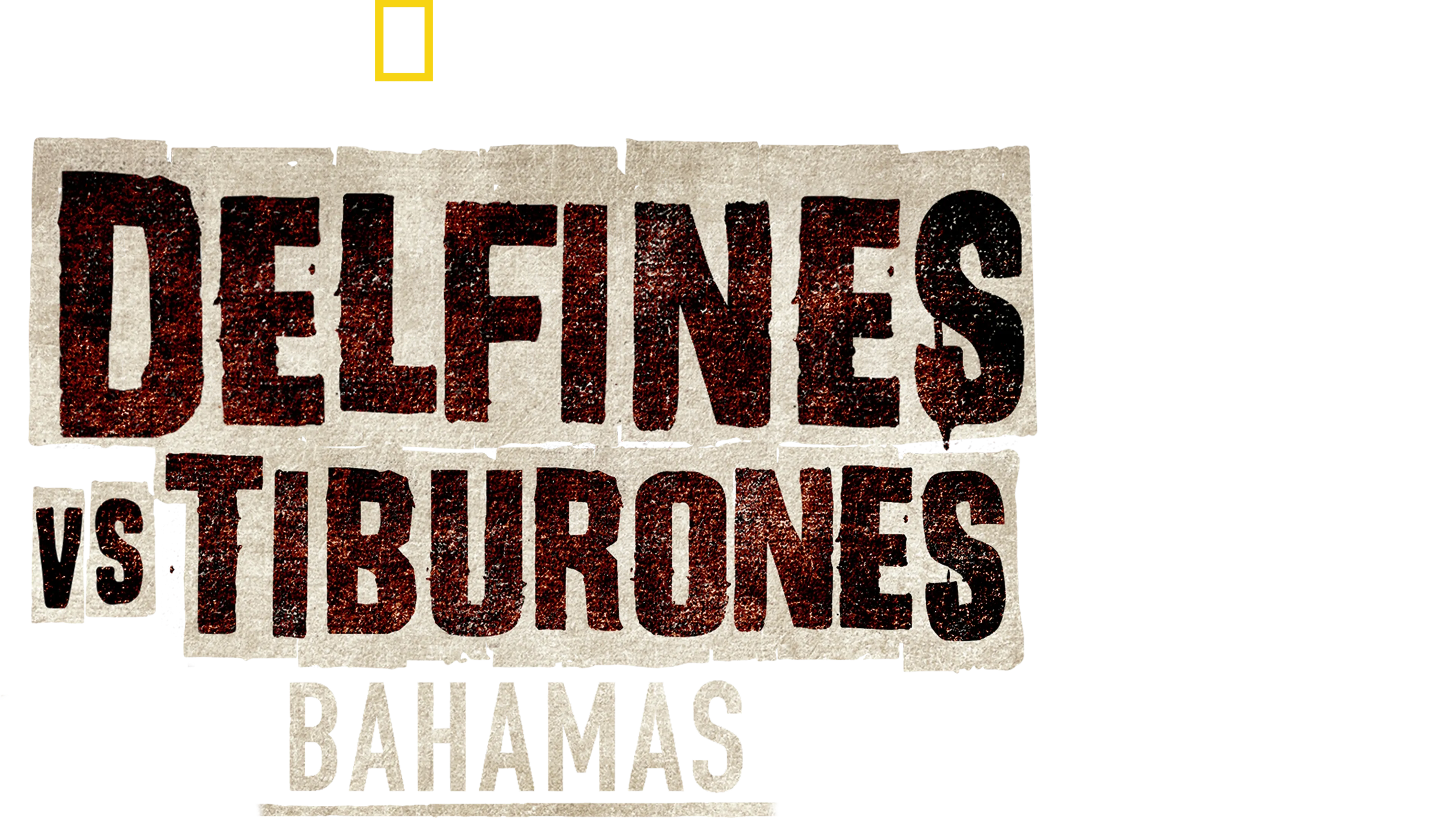 Sharks vs. Dolphins: Bahamas Battleground