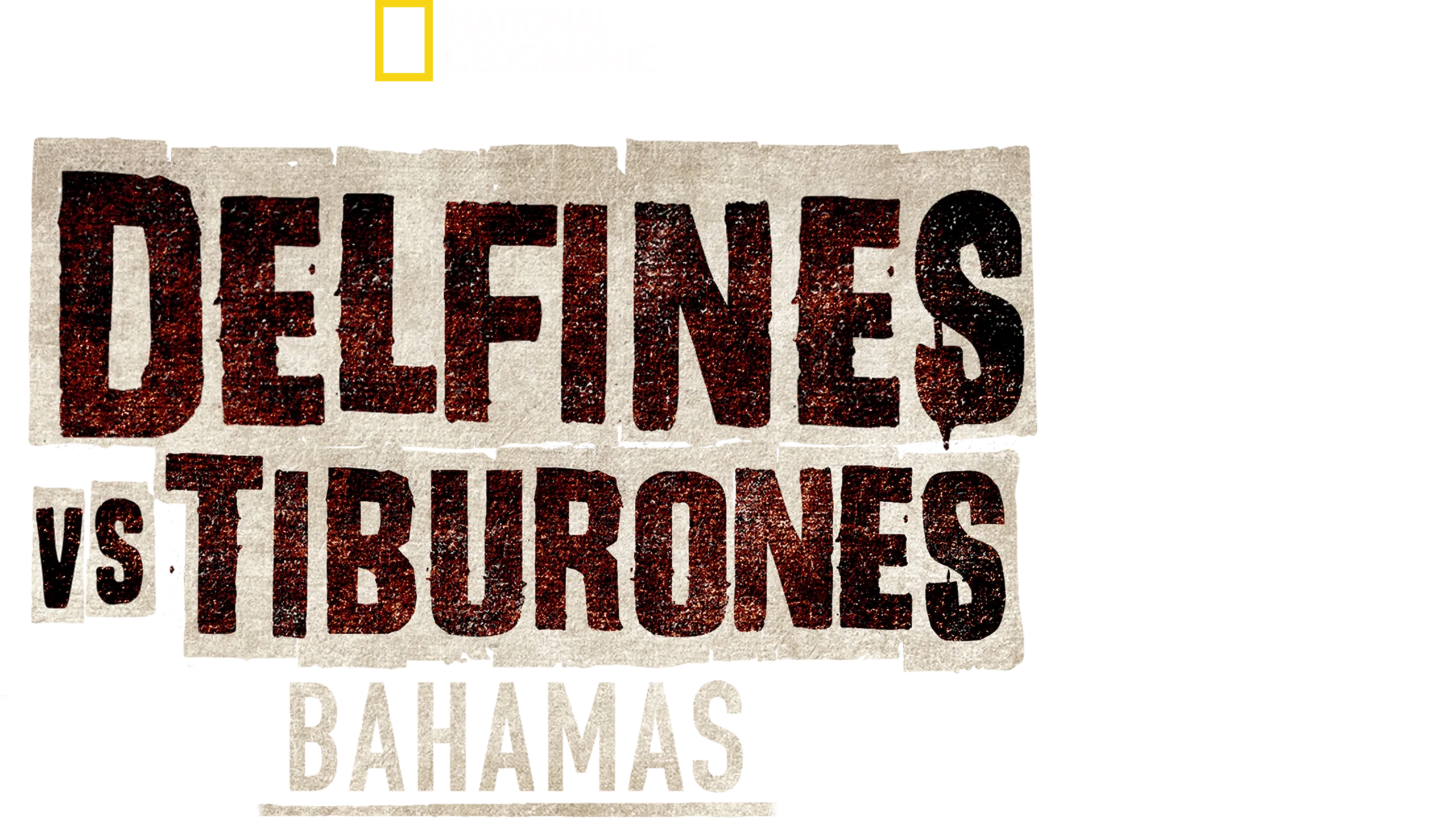 Sharks vs. Dolphins: Bahamas Battleground