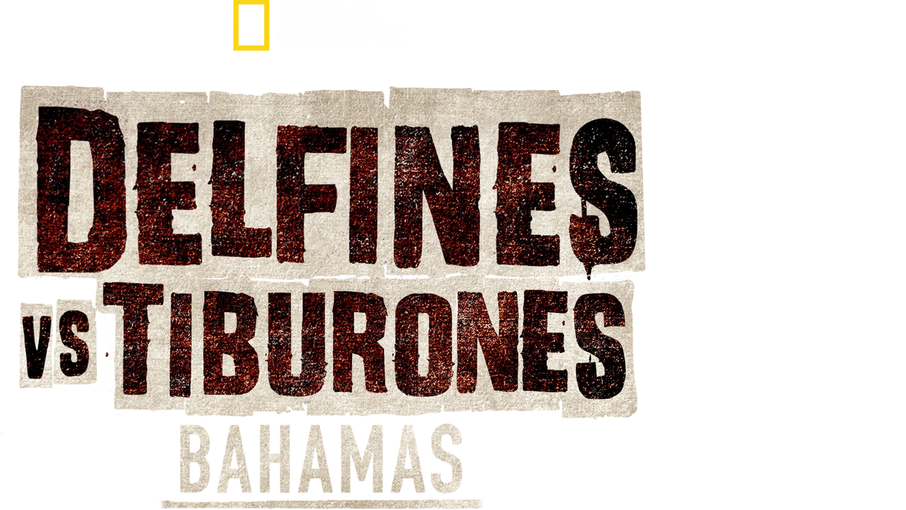 Delfines vs. tiburones: Bahamas