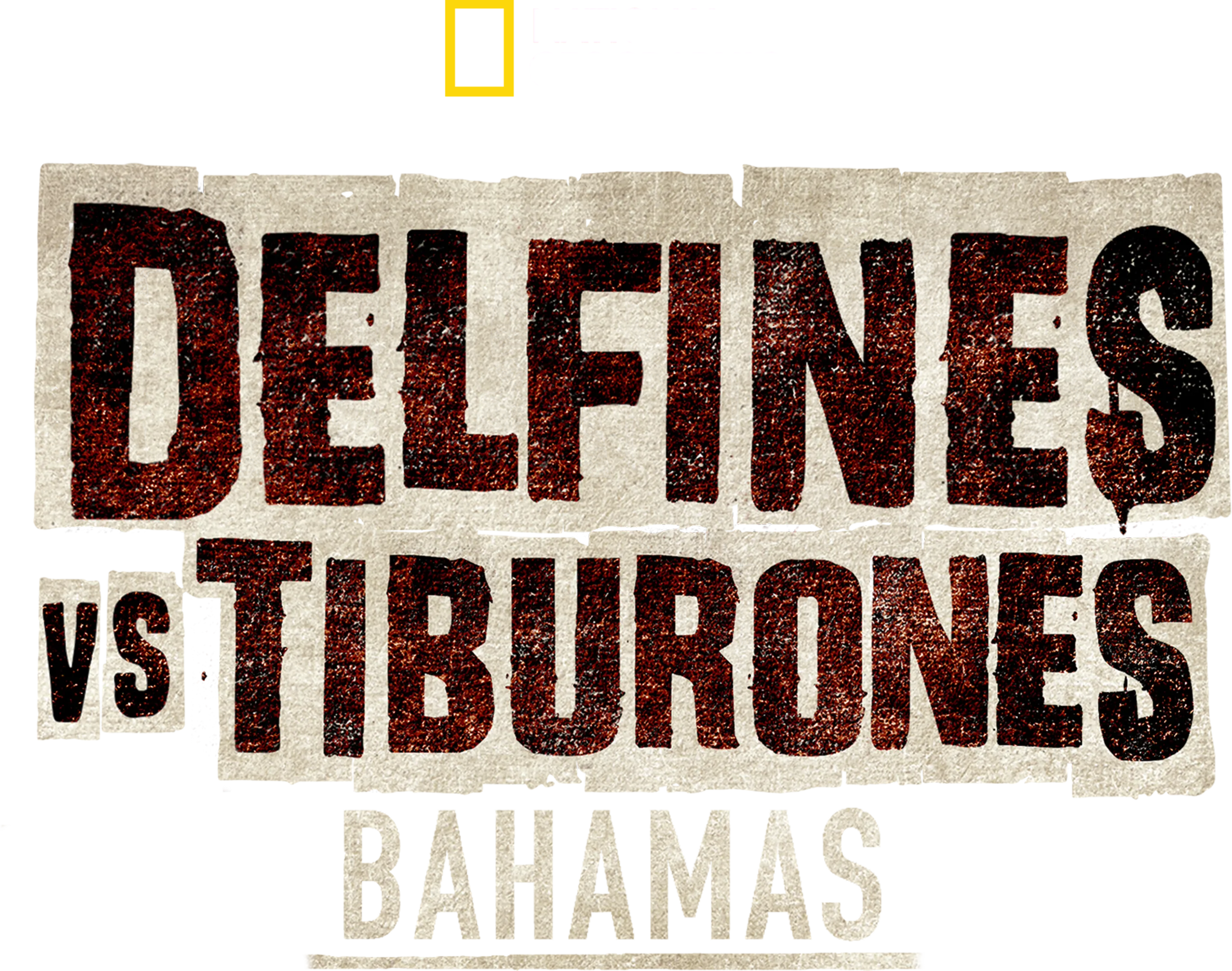 Delfines vs. tiburones: Bahamas
