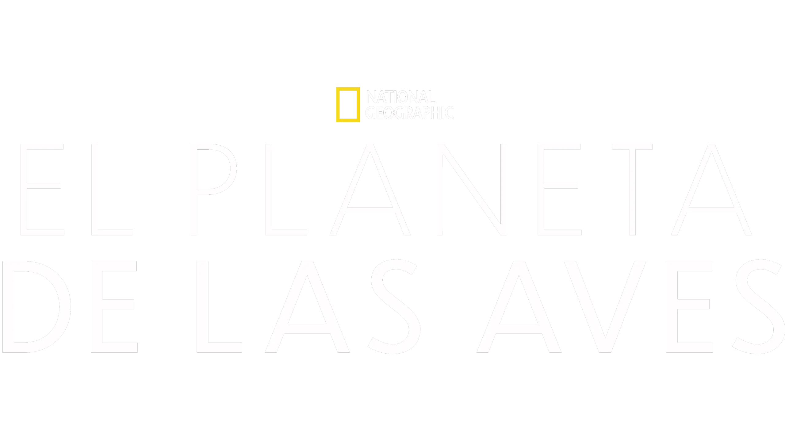 El Planeta de las Aves