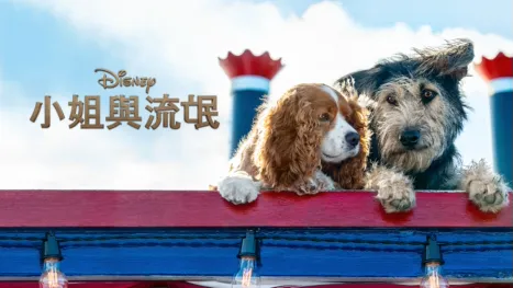 thumbnail - 小姐與流氓