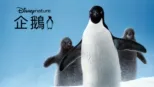 thumbnail - 企鵝