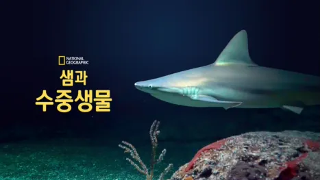 thumbnail - 샘과 수중생물