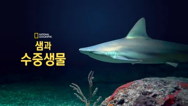 thumbnail - 샘과 수중생물