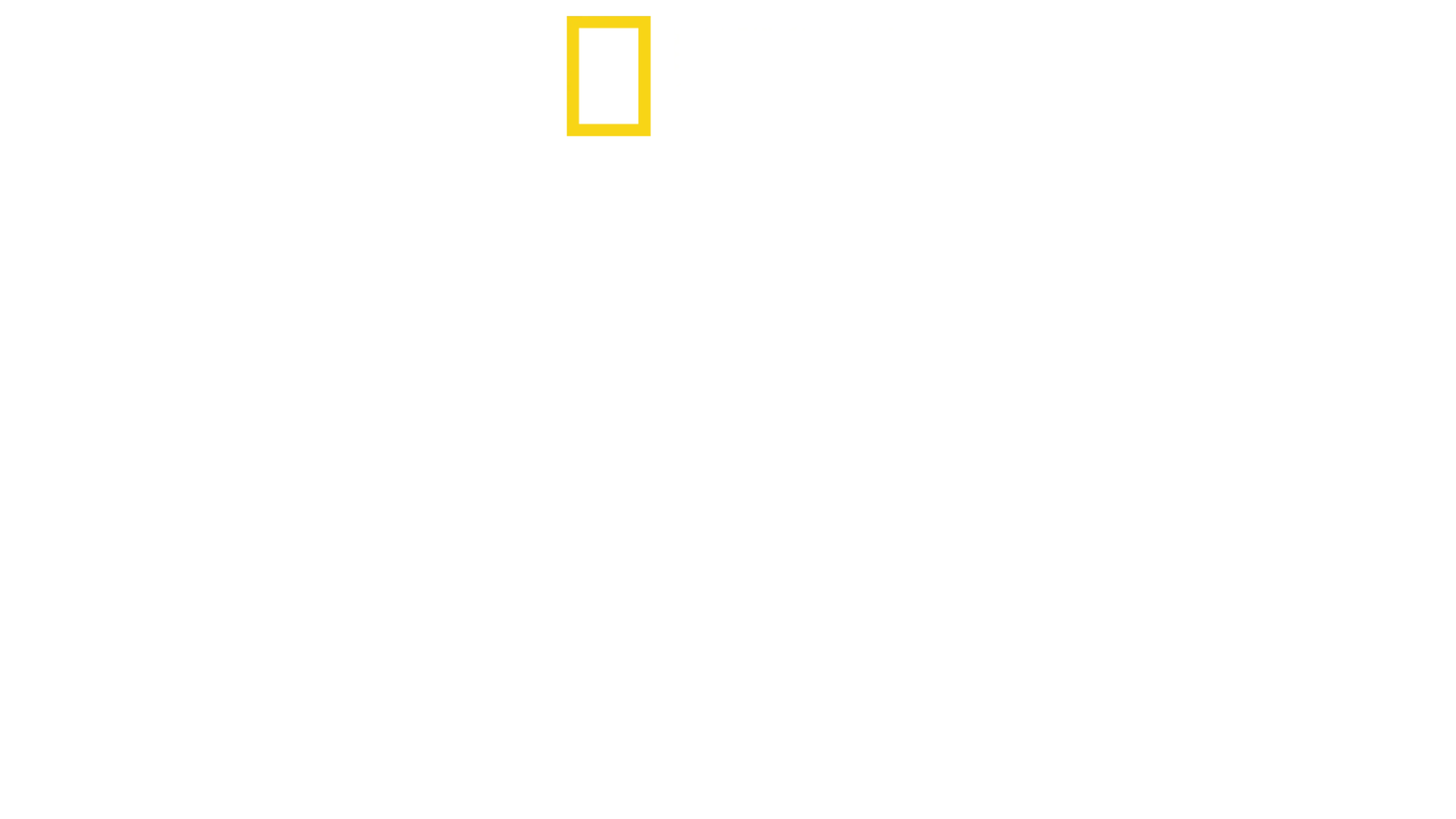 潜入！ブラックマーケットの実態
