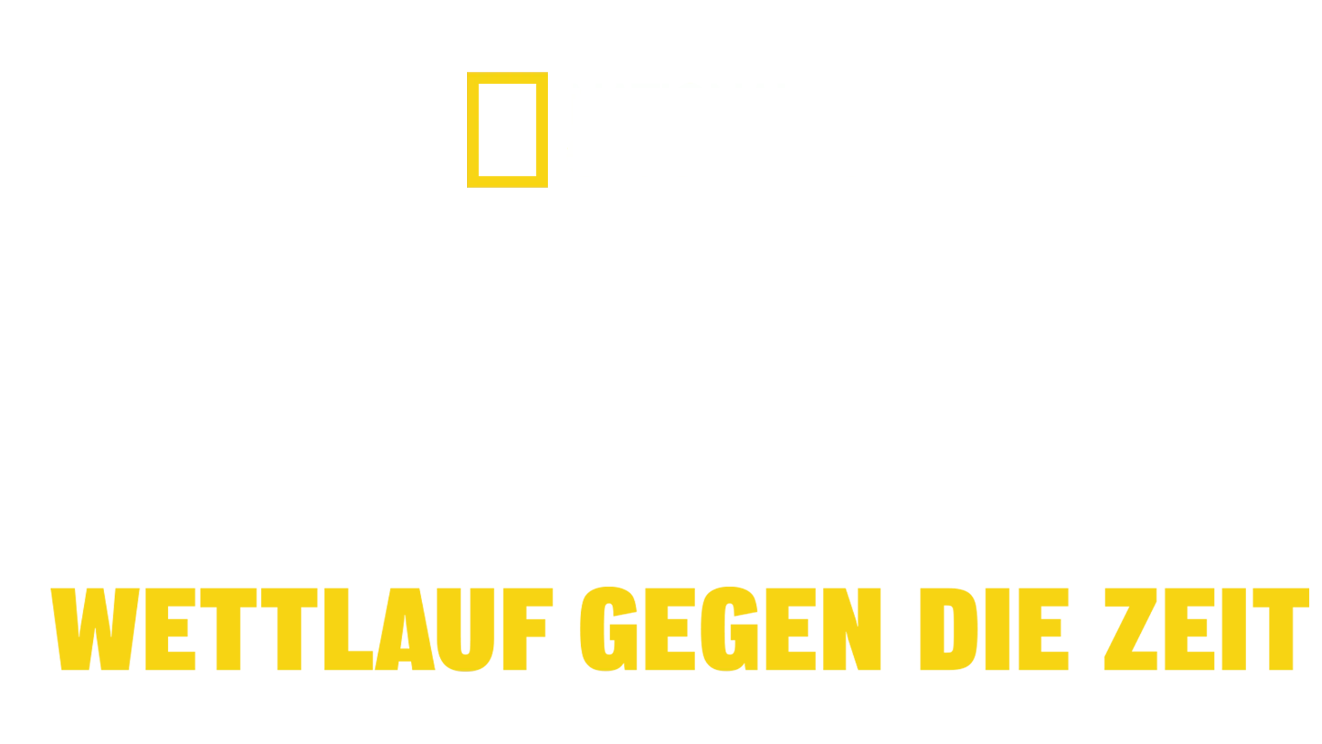 Tsunami: Wettlauf gegen die Zeit