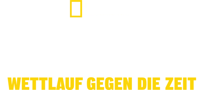 Tsunami: Wettlauf gegen die Zeit
