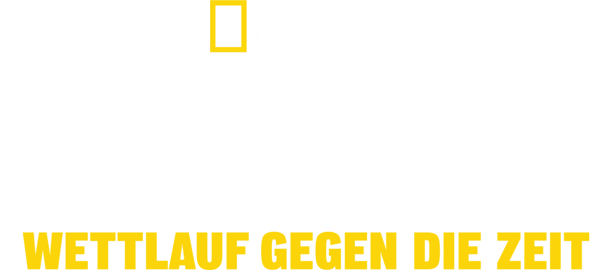 Tsunami: Wettlauf gegen die Zeit
