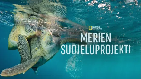 thumbnail - Merien suojeluprojekti