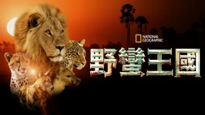 野蠻王國