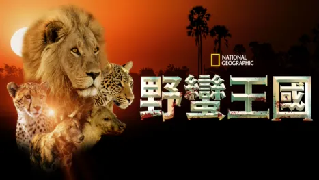 thumbnail - 野蠻王國