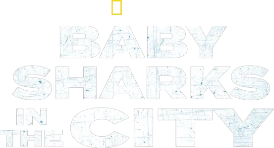 Baby Sharks in the City