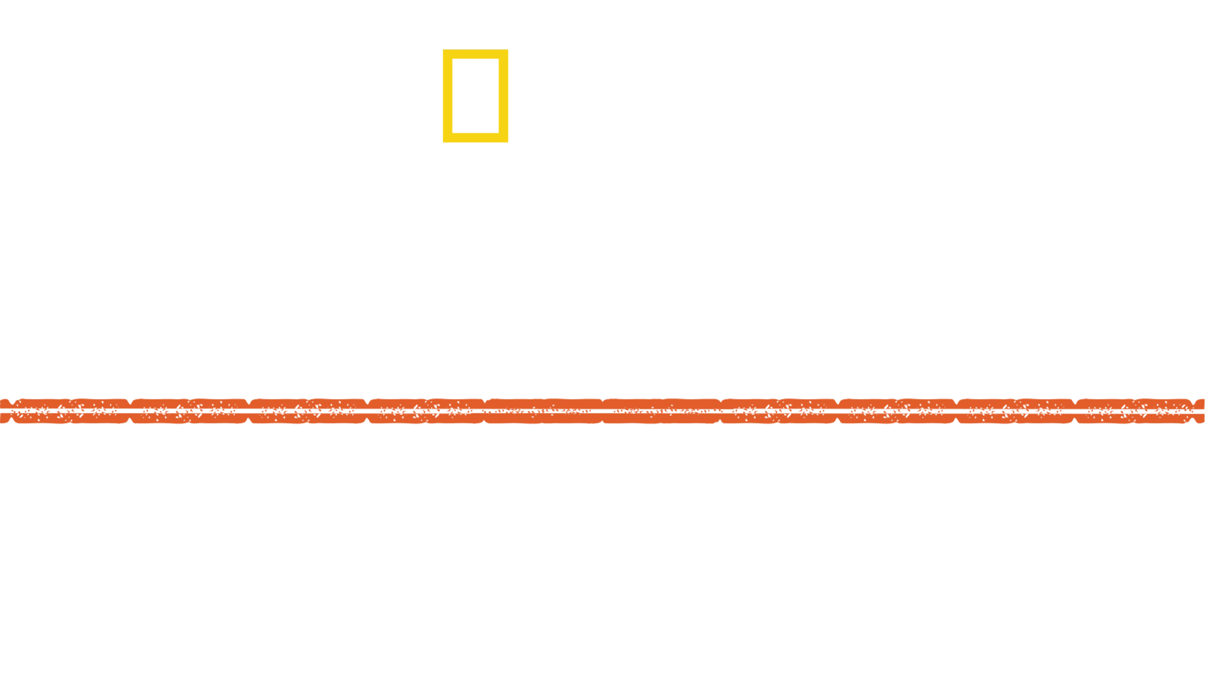 Apocalypse, Hitler attaque à l'Est