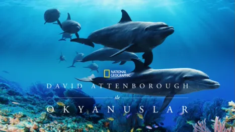 thumbnail - David Attenborough ile Okyanuslar