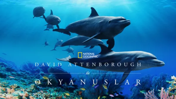 thumbnail - David Attenborough ile Okyanuslar