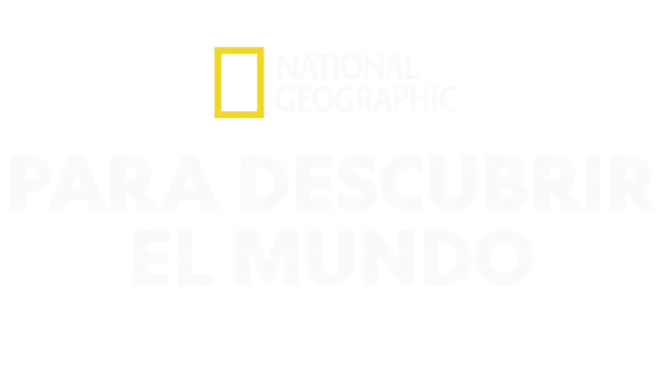 National Geographic: Para descubrir el mundo