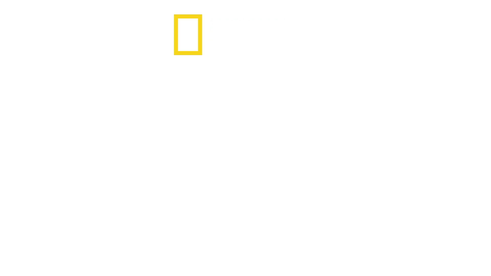 海洋卫士雅克·库斯托