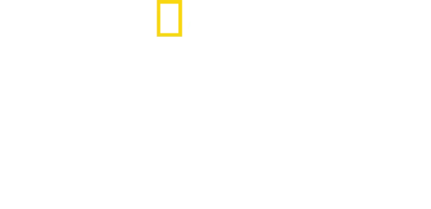 海洋卫士雅克·库斯托